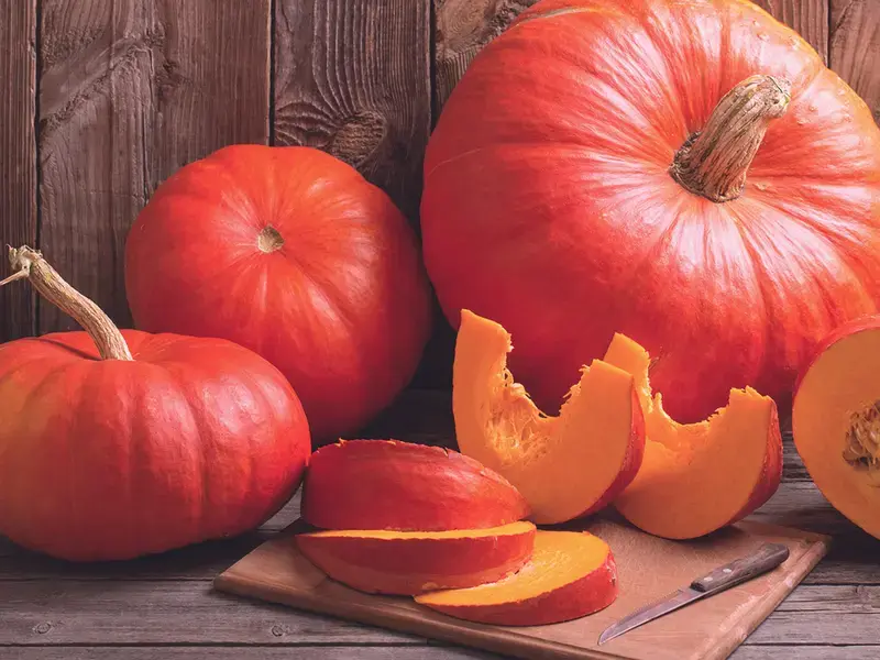 Tutti i modi per cucinare la zucca