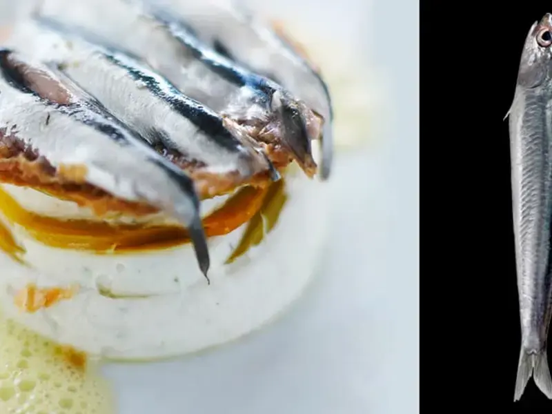 acciughe-abbinamenti