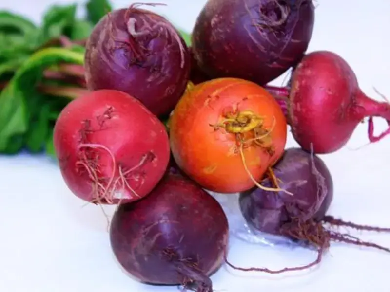 barbabietole-fresche-ricette