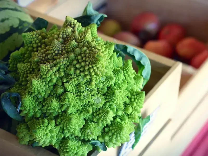 Broccolo romanesco ricette