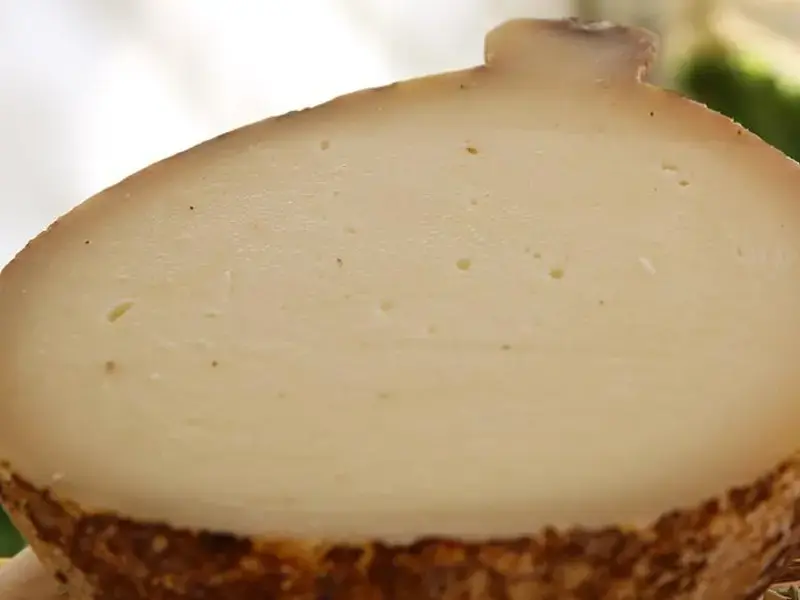 caciocavallo-podolico