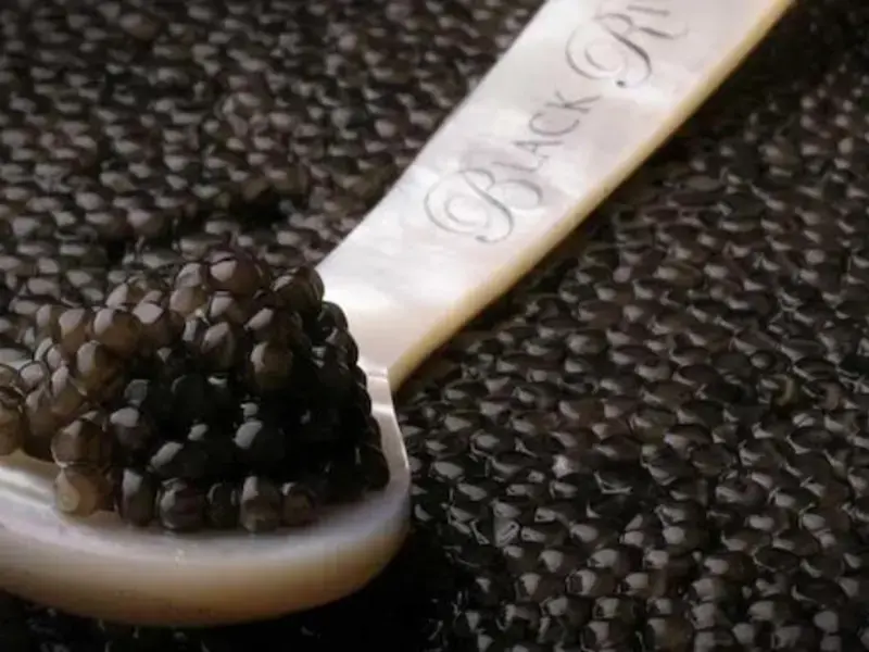 Come servire il caviale