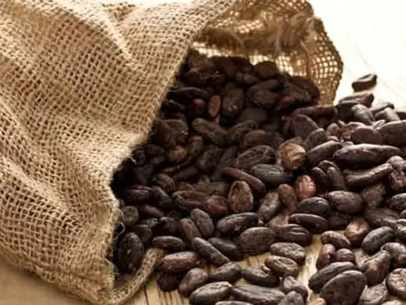 cioccolato-fatto-in-casa-dai-chicchi