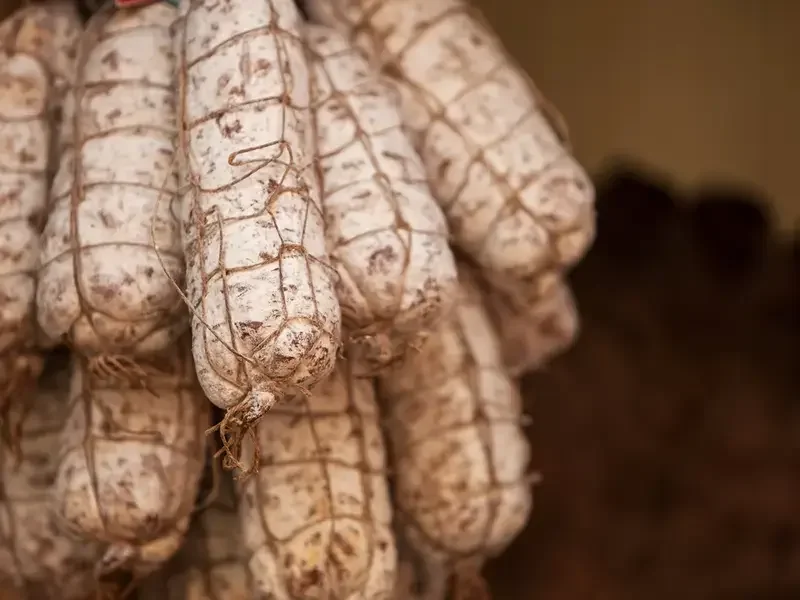 come conservare il salame