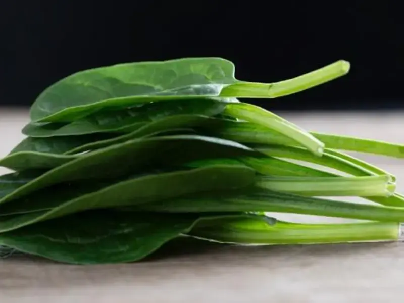 come-congelare-spinaci