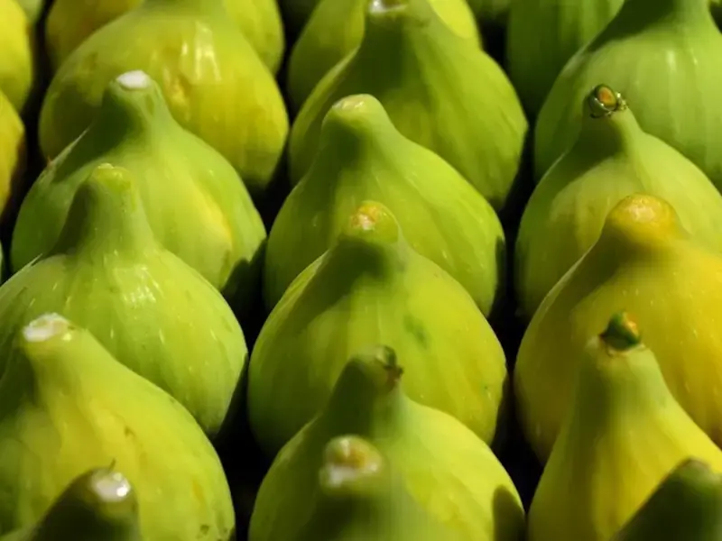 come-conservare-fichi