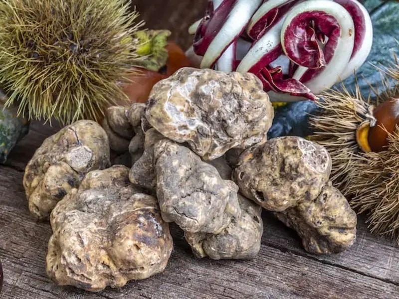 come-conservare-tartufo