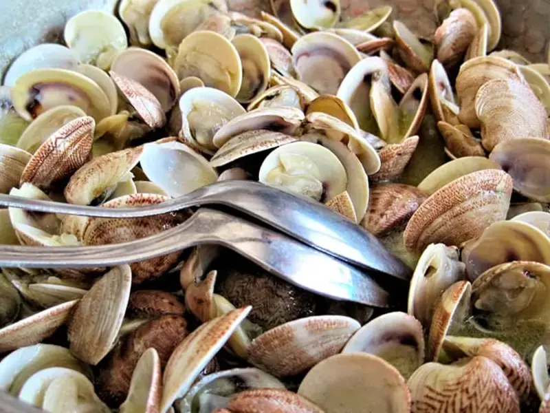 come-conservare-vongole