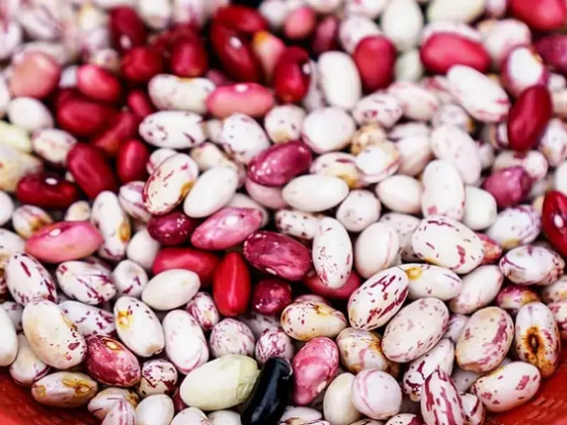 come-cucinare-fagioli-freschi