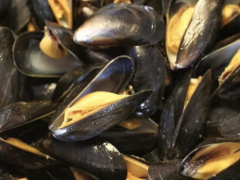 come-cucinare-le-cozze-ricette