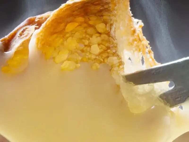 come-fare-formaggio-fuso