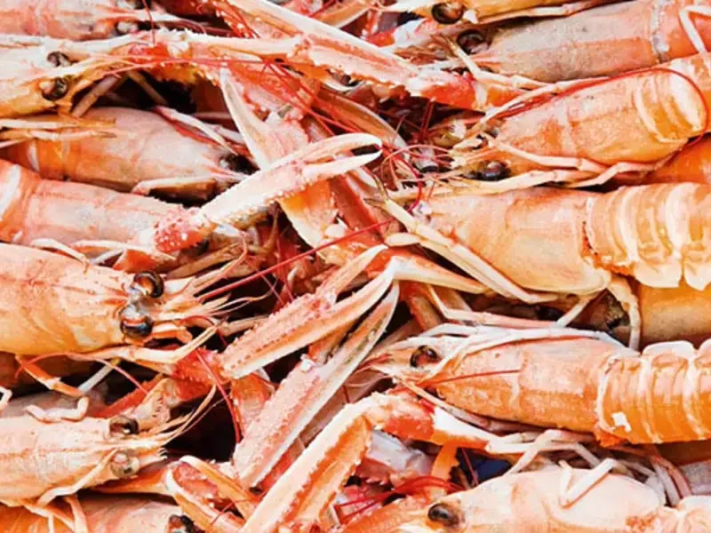 come-pulire-gli-scampi