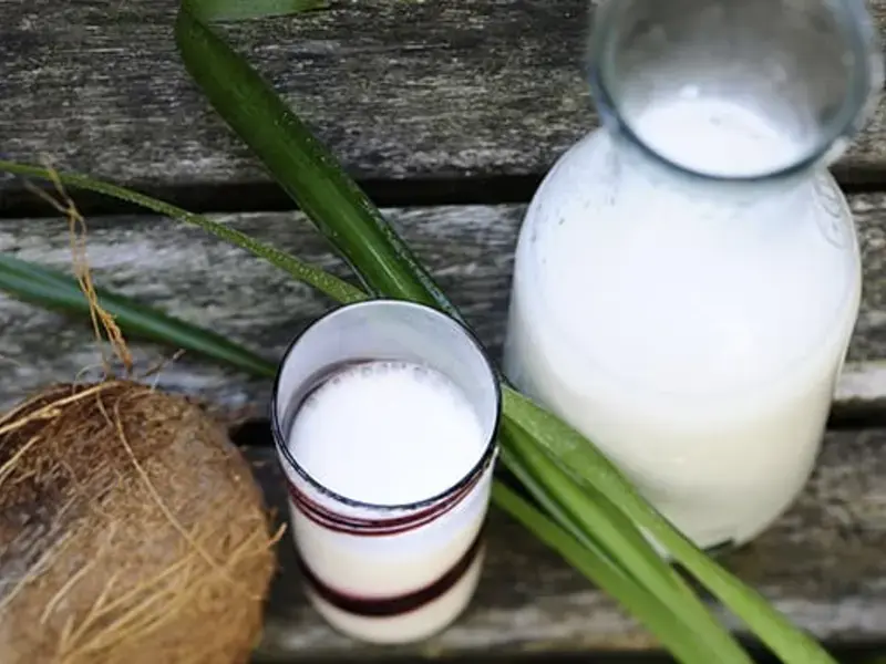 come-usare-il-latte-di-cocco-in-cucina