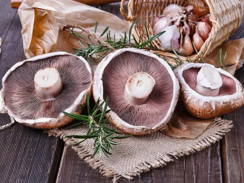 funghi portobello - Fine Dining Lovers