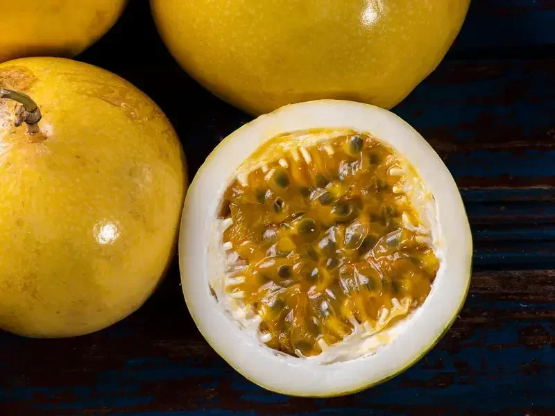 granadilla - Fine Dining Lovers