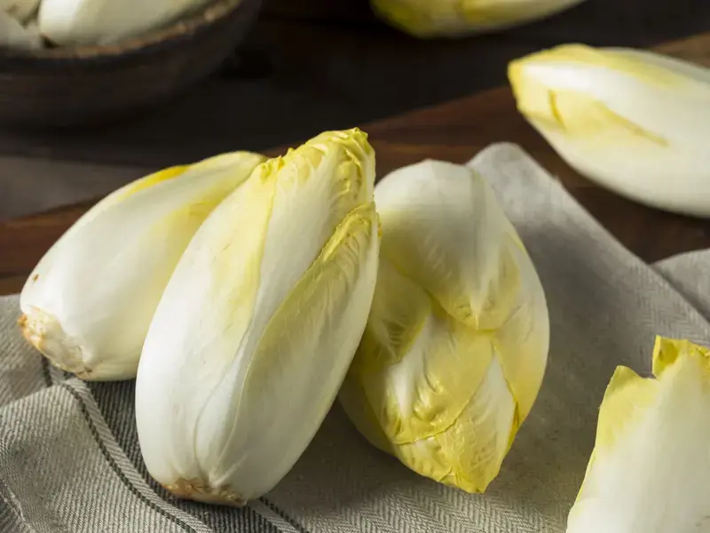 ricette con indivia belga - Fine Dining Lovers