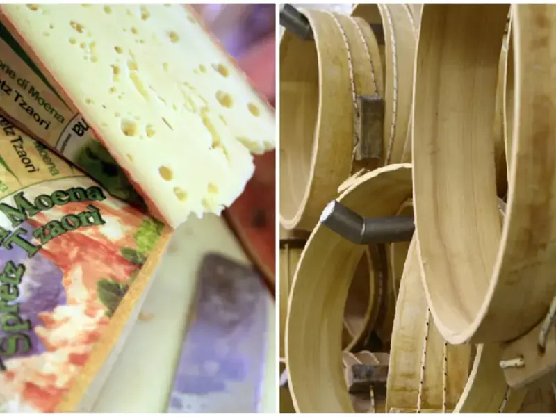 ingredienti-puzzone-moena