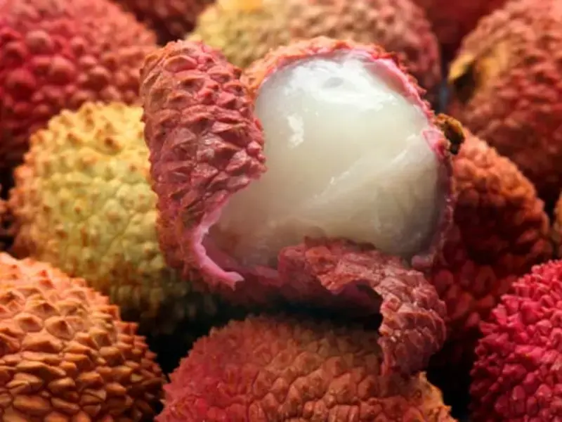 litchi-frutto