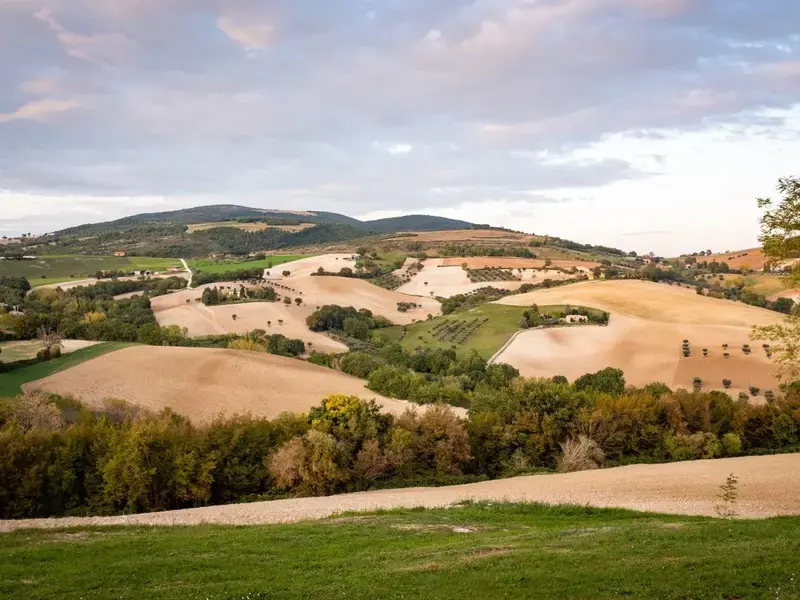 I migliori ristoranti di Macerata e provincia: gli indirizzi da non perdere