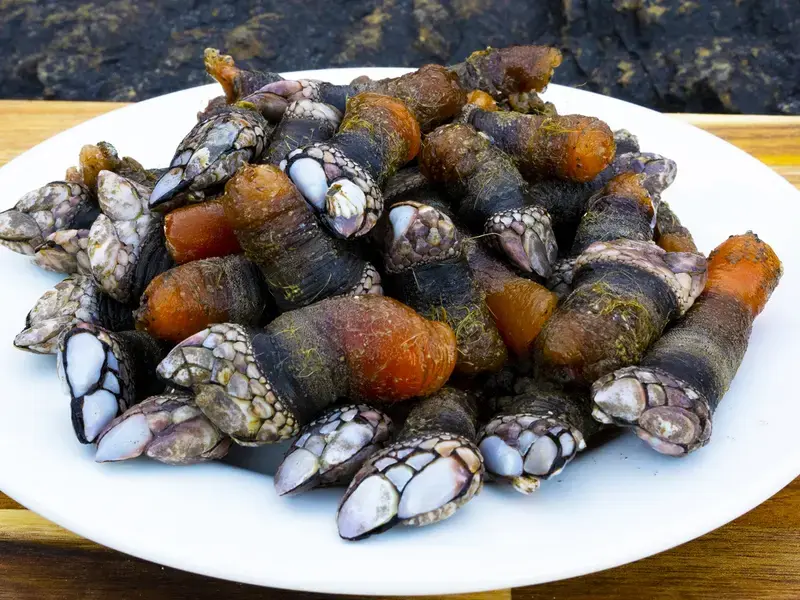 percebes