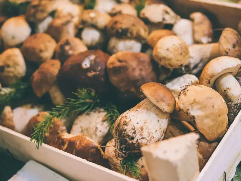 come cucinare i funghi porcini - Fine Dining Lovers
