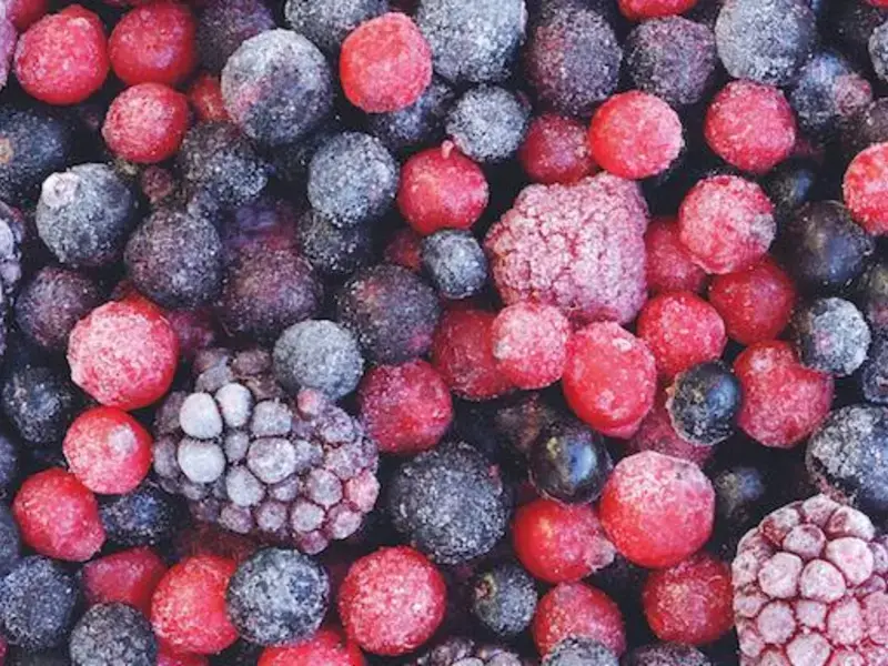 quanto-durano-alimenti-in-freezer