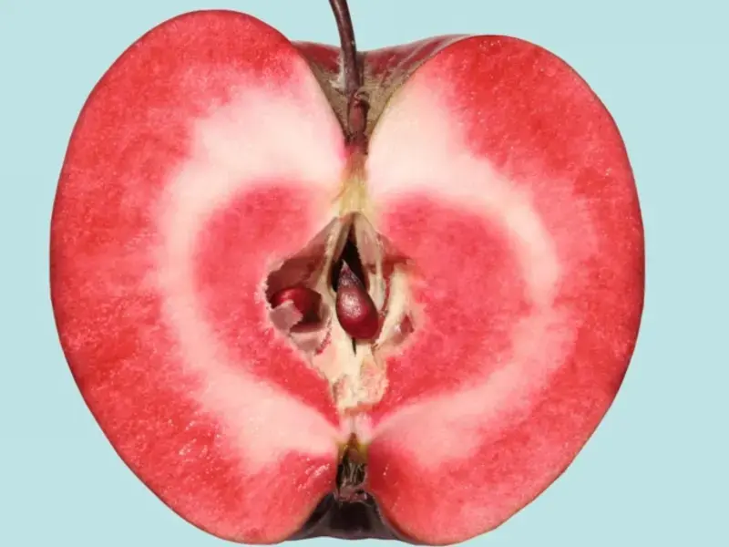 redlove-apple