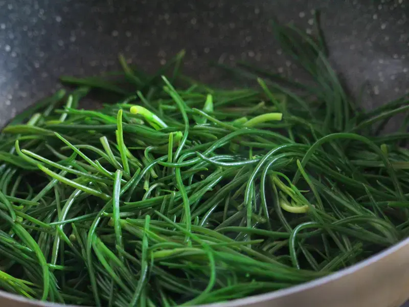 Ricette con gli agretti