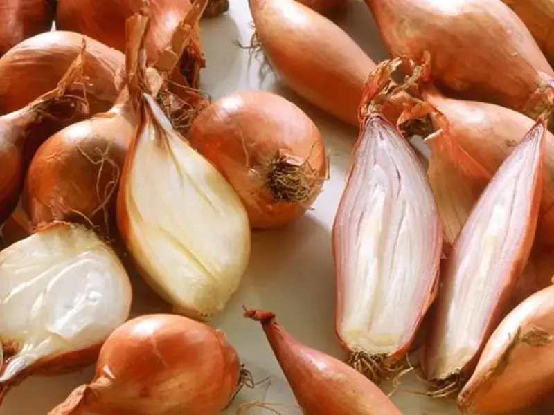 ricette-scalogno
