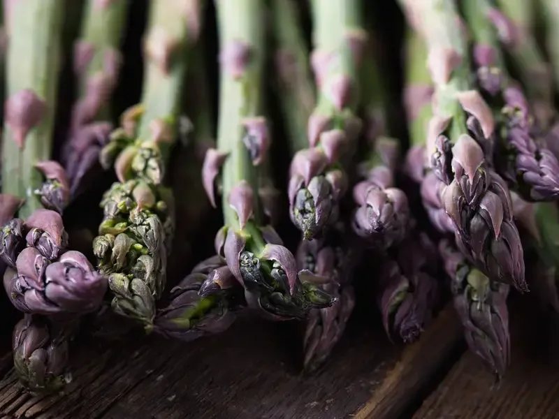 Tipi di asparagi
