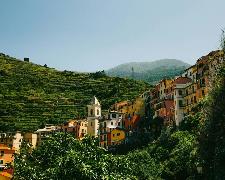 case di cemento vicino agli alberi