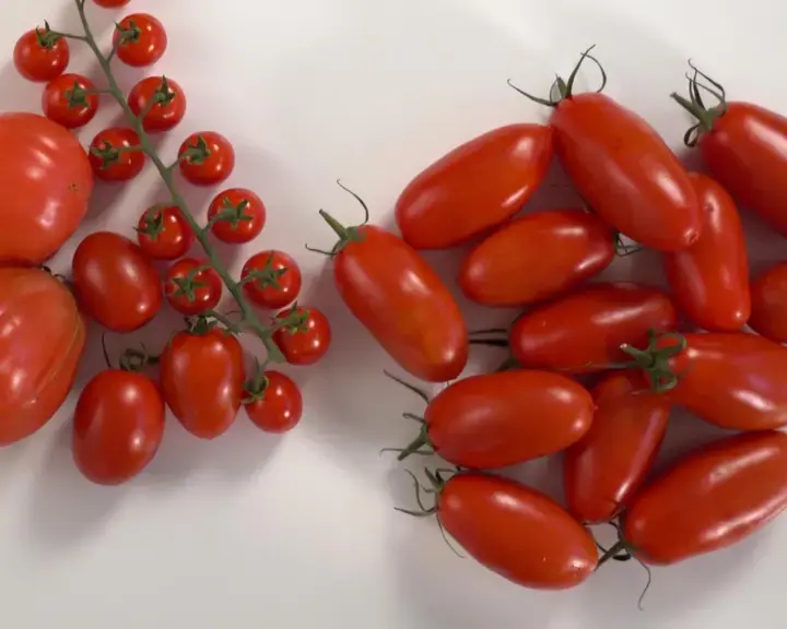 Segreti per cucinare pomodori