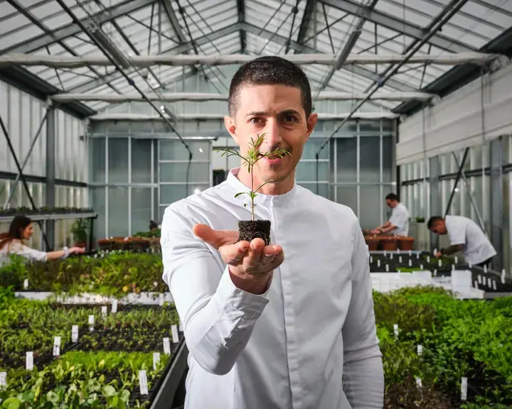 Michelangelo Mammoliti La Rei Natura - serra