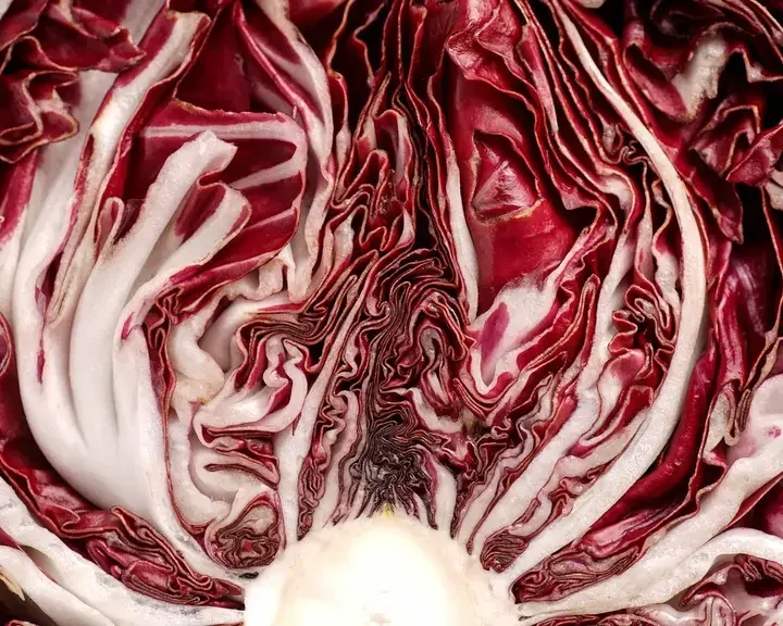 come cucinare il radicchio - Fine Dining Lovers