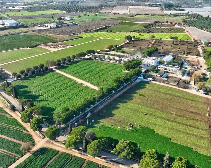 masseria mancini