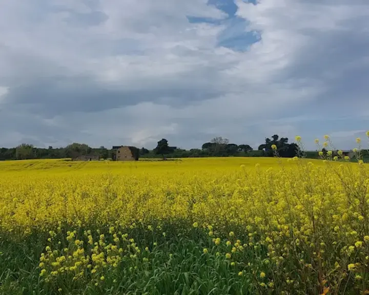 Strada Statale 16 Adriatica