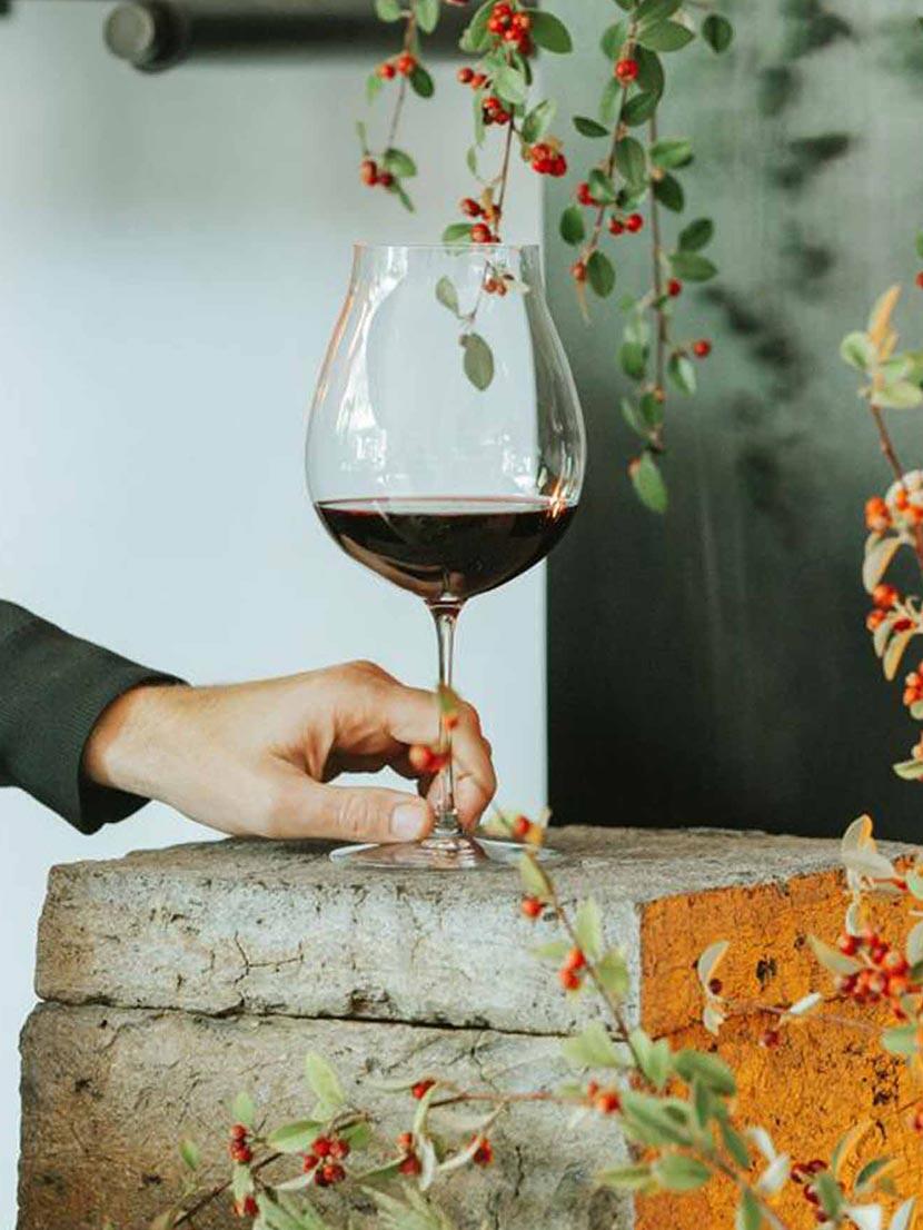 Vino e dintorni