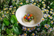 Un piatto del nuovo menu primavera 2023 di Sintesi